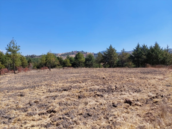 VT52050 Rancho en Tierras Blancas
